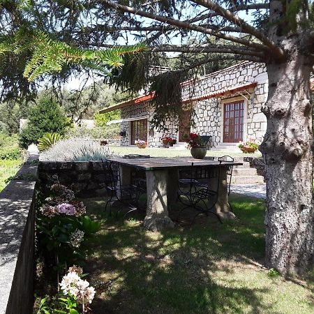 Casa De Crespins Casa De Campo Lda Cristelo  Exterior foto